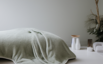Worth Buying: Our Electric Blanket Picks for 2026